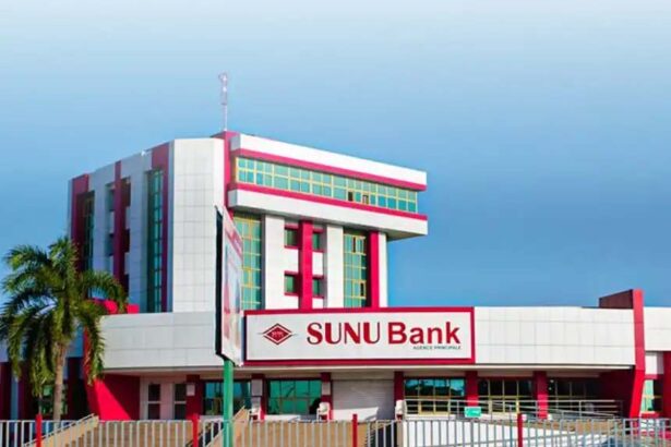 SUNU Bank, cartes Visa