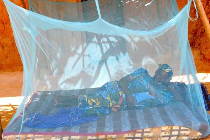 moustiquaires, campagnes