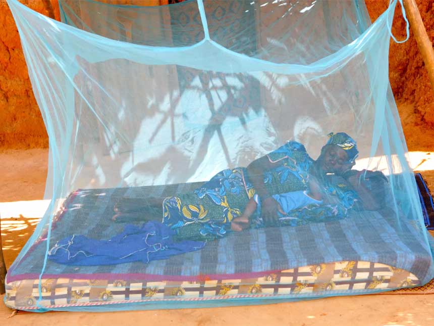 moustiquaires, campagnes