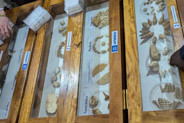 l’Université de Lomé