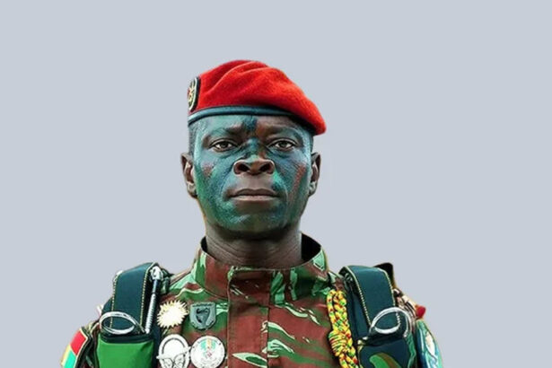 pascal tigri, bénin