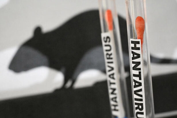 Hantavirus