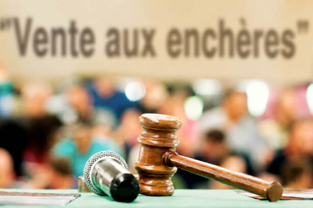 vente aux enchères
