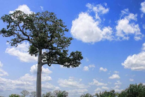 togo, météo