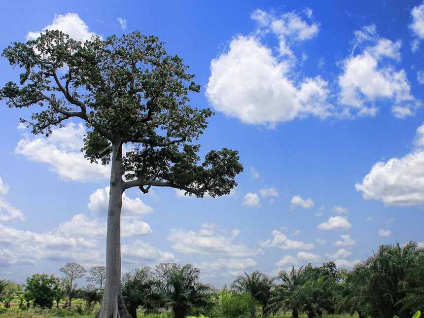 togo, météo