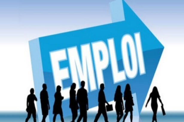 formation , emploi